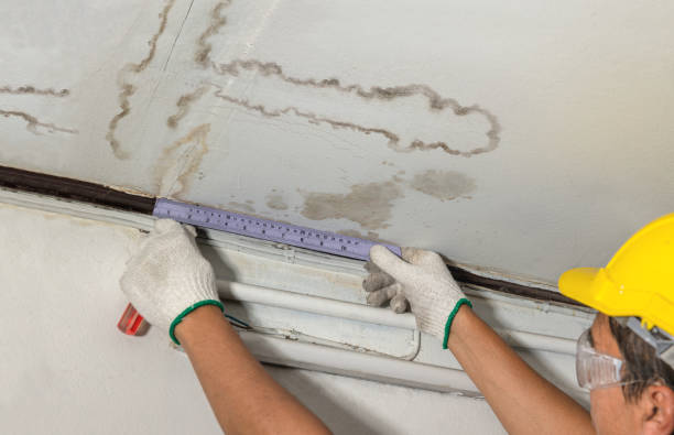 Reliable Water Damage contractor in Blacksburg, VA by Water Damage Irwin
